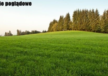 działka na sprzedaż - Pawłowice