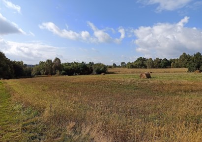 działka na sprzedaż - Radlin, Letnia