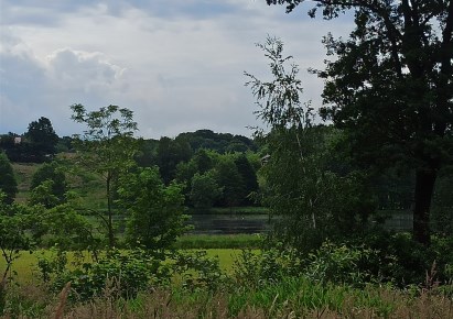 działka na sprzedaż - Pawłowice, Pielgrzymowice, Sikorskiego