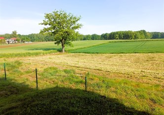 działka na sprzedaż - Pawłowice, Golasowice