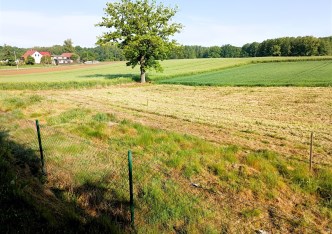 działka na sprzedaż - Pawłowice, Golasowice