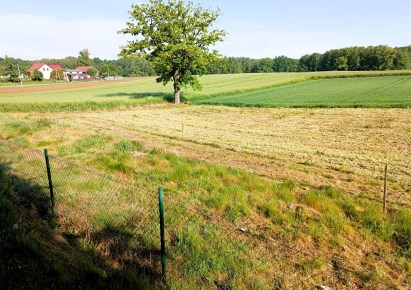 działka na sprzedaż - Pawłowice, Golasowice