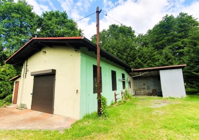 hala na sprzedaż - Strumień (gw), Zabłocie