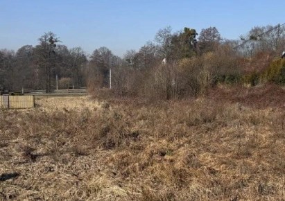 działka na sprzedaż - Jastrzębie-Zdrój, Bzie Zameckie