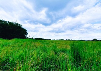 działka na sprzedaż - Godów, Gołkowice