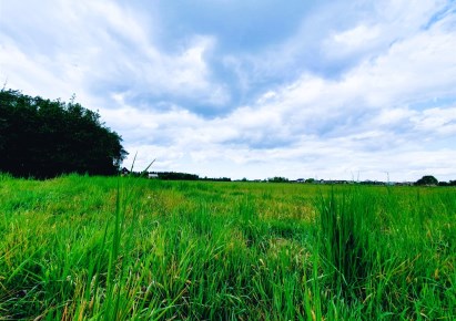 działka na sprzedaż - Godów, Gołkowice