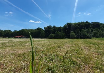 działka na sprzedaż - Pawłowice, Pielgrzymowice, Grunwaldzka