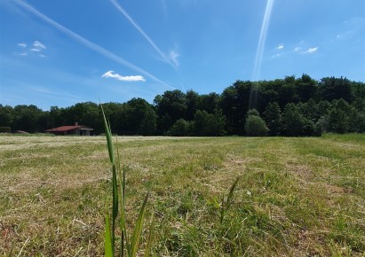 działka na sprzedaż - Pawłowice, Pielgrzymowice, Grunwaldzka