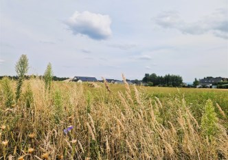 działka na sprzedaż - Godów, Gołkowice